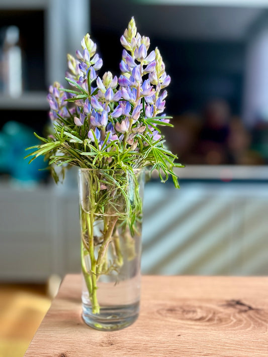 image: Photo of purple lupine flower in a glass in a living room setting. Photo by Melinda Yeoh Art